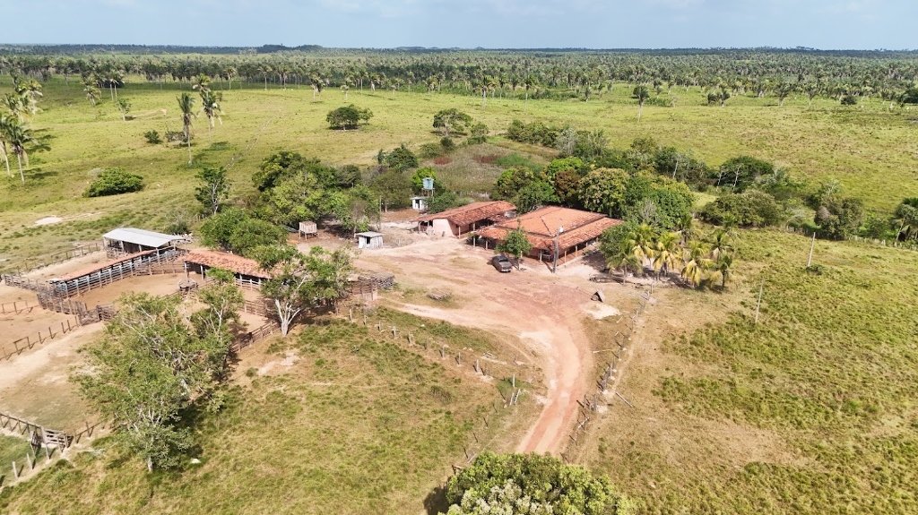 Benfeitoria periciada com carimbo oficial GPS 3°20'17S 46°1'59W